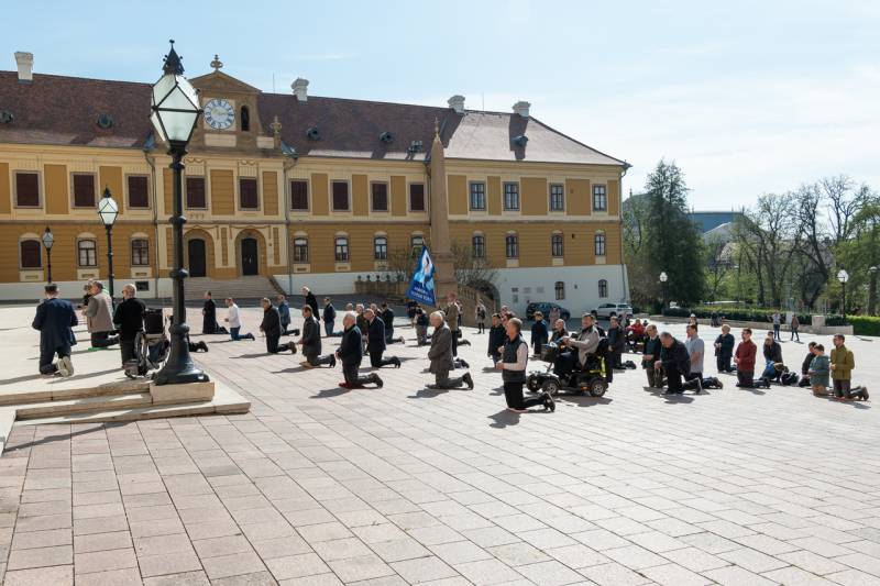 2025_04_05_terden allo rozsafuzer_29.jpg